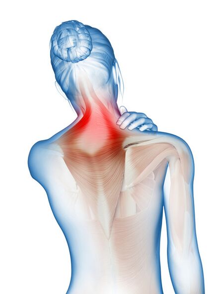 Inflammation and pain in muscles and joints - the reason for the use of Motion Energy